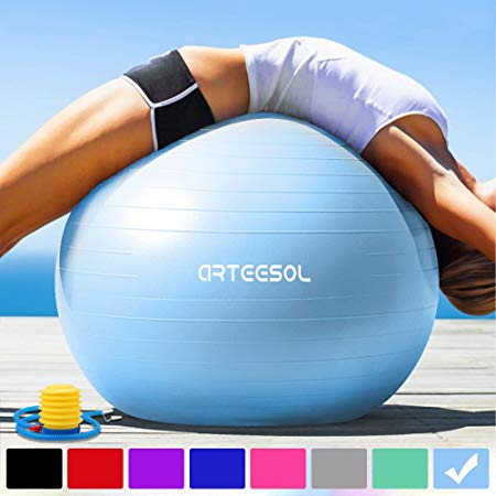 Arteesol Exercise Ball 45cm / 55cm / 65cm / 75cm Anti-burst Anti-slip Yoga Swiss Ball Birthing Ball Quick Pump Fitness Gym Yoga Pilates Core Training Physical Therapy