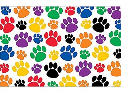 Teacher Created Resources Colorful Paw Prints Postcard (4799)