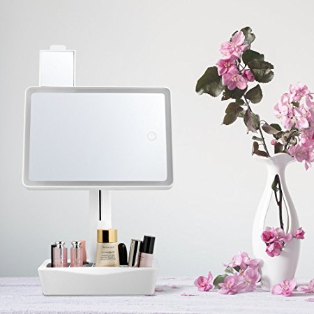 Jerrybox LED Lighted Makeup Mirror, 180° Horizontal and Vertical Rotation, Desktop Makeup Mirror with 10X Magnification Mirror Inset, Base Tray Storage for Jewelry / Cosmetics, Battery or USB Powered