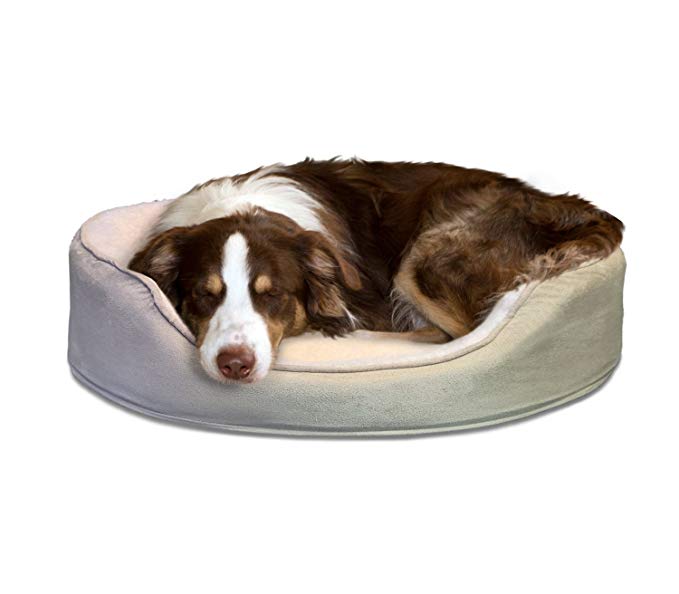 Furhaven Pet Dog Bed | Orthopedic Oval Lounger Pet Bed for Dogs & Cats Sizes