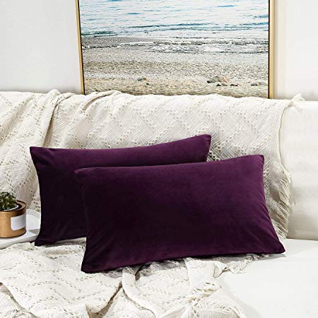 JUSPURBET Velvet Pillow Covers 16x24 Inches,Pack of 2 Throw Pillow Covers for Sofa Couch Bed,Decorative Super Soft Throw Pillow Cases,Eggplant Purple