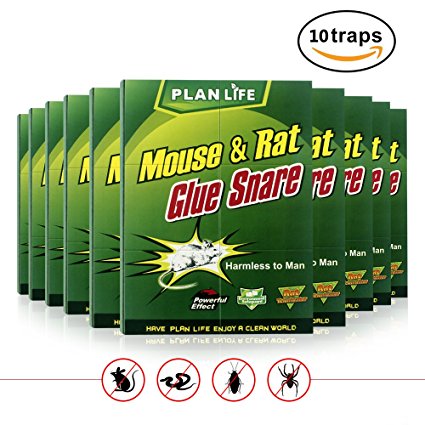 Homar ® 10 Pcs Butter Scented Humane Mouse and Insect Glue Boards Rat Trap Mice Pest Snake Sticky Traps Bulk with Professional Strength Glue for Indoor or Outdoor