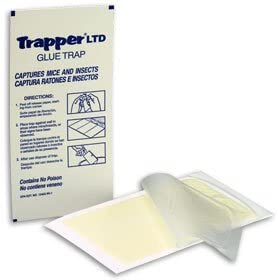 Trapper LTD Insect-mouse Glue Boards/12 boards