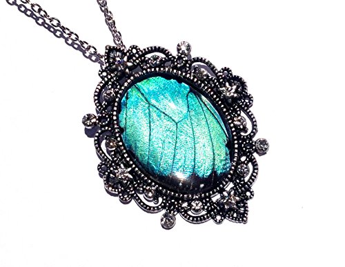 Real Blue Morpho Butterfly Wing Necklace - Large Turquoise Pendant - Real Insect Jewelry - December Birthstone