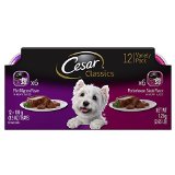Cesar 35oz Multi-pack Wet Dog Food