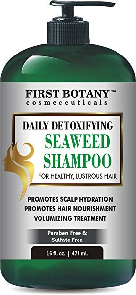 Seaweed Shampoo 16 fl oz, Daily Anti Hair loss, Hydrating, Detoxifying, Volumizing, Hair Growth Promoting Shampoo For Men and Women