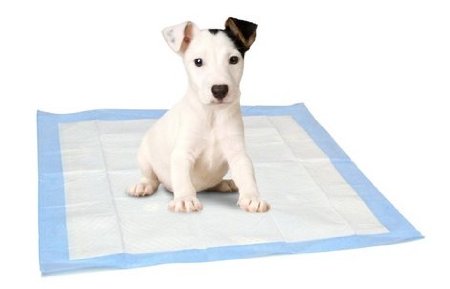 Select Companion Puppy Pee Pads, 23 x 22 Inch, 100 Disposable Piddle Pottypads
