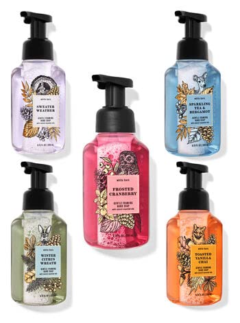 Bath and Body Works Foaming Hand Soaps - Set of 5 Gentle Foaming Soaps (Chilly Day Essentials)