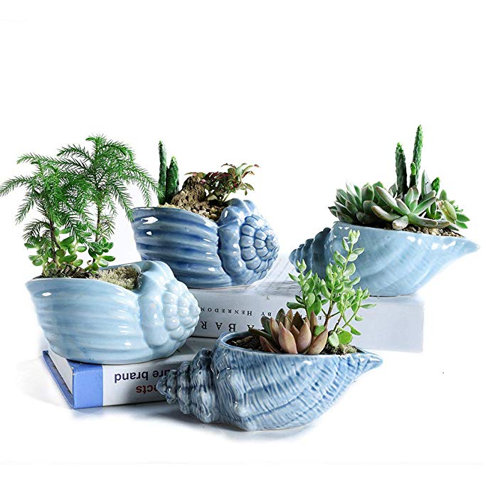 SUN-E 5.5 Inch Blue Conch Ocean Series Ceramic Base Serial Set Succulent Plant Pot Cactus Plant Pot Flower Pot Container Planter with Drainage Hole Idea 4 in Set