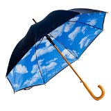 Designer Umbrella with Perfect Day Sky Print Inside