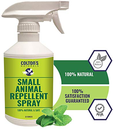 All Natural Rodent Repellent Spray- Perfect for: Racoons, Rats, Squirrels, Rabbits, Skunks, Gophers and Many Small Animals. Indoor and Outdoor Deterrent- Garage, Yard, Trash cans Car Engine(32)