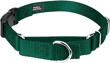 Country Brook Petz - Made in The USA - Durable Nylon Martingale with Deluxe Buckle - 30  Vibrant Color Options (Green, 5/8 Inch, Extra Small)