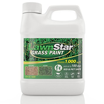 Lawn Star Grass Paint, 32 fl. oz. - Makes Grass Green Again - The Non-Toxic Solution for Water Restrictions & Drought - Skyrocket Your Curb Appeal Today! (Covers 500-1,000 sq. ft.)