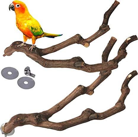 kathson Natural Parrot Perch Bird Stand Pole Wild Grape Stick Paw Grinding Fork Parakeet Climbing Standing Branches Toy Chewable Cage Accessories for Small Budgies Cockatiels Lovebirds