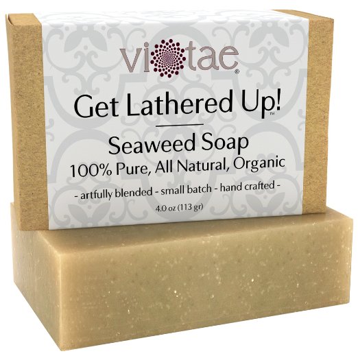 Certified Organic SEAWEED Soap - by Vi-Tae - 100 Pure All Natural Aromatherapy LUXURY Herbal Bar Soap - 4oz