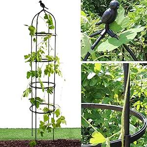 Garden Trellis for Climbing Plants, Rustproof Metal Pipe 6ft high, Garden Outdoor Indoor Potted Plant Support（Black）