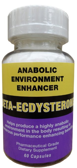 Beta-Ecdysterone -- Increase Lean Body Mass -- 60 x 500mg Capsules standardized for 99