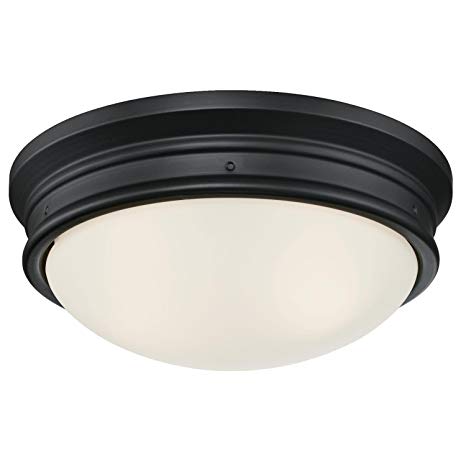 Westinghouse Lighting 6324100 Meadowbrook Two-Light Indoor Flush-Mount Ceiling Fixture, Matte Black Finish with Frosted Glass,