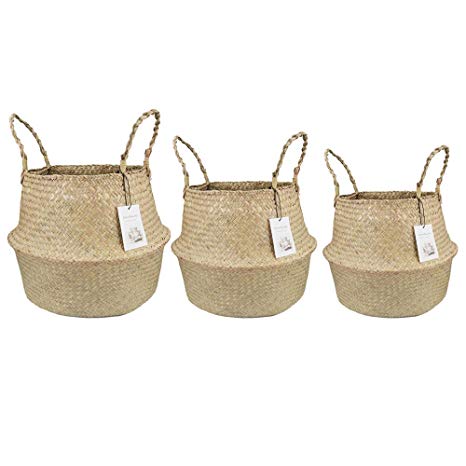 Belly Basket, Seagrass Planter for Fig Home Organization with Handles by Qliwa (XL-XXL-XXXL, Natural)
