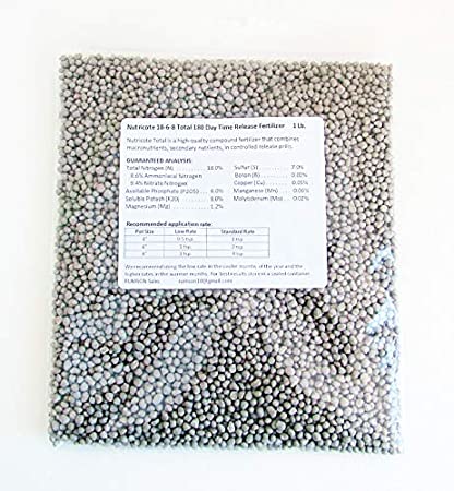 Nutricote 18-6-8 Total 180 Day Time Release Fertilizer (1, 1 lb.)