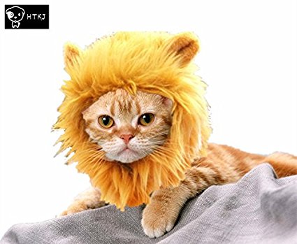 HTKJ Lion Mane Dog Cat Costume Cute Pet Wig Hat for Cat or Small Dog Dress up Halloween Christmas