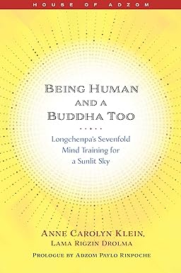 Being Human and a Buddha Too: Longchenpa's Seven Trainings for a Sunlit Sky (House of Adzom)