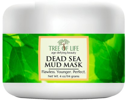 Dead Sea Mud Facial Mask - Pore Reducer, Skin Cleanser & Wrinkle Therapy - Blemish & Acne Mask - GUARANTEED - FREE Professional Anti Aging Ebook With Purchase ($7.99 Value) - MONEY BACK GUARANTEE