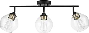 Globe Electric 59619 Harrow 3-Light Track Lighting, Matte Black, Antique Brass Accents, Clear Glass Shades, Bulbs Included, 650 Lumen