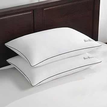 Basic Beyond Feather Pillows Queen Size Set of 2 - Down Feather Pillows for Sleeping - Hotel Collection Feather Pillows, 20"X28"