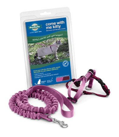 Come With Me Kitty Harness and Bungee Leash Medium Dusty Rose