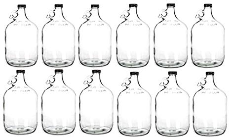 Home Brew Ohio Glass Water Bottle, Includes 38 mm Polyseal Cap, 1 gal Capacity (Pack of 12)