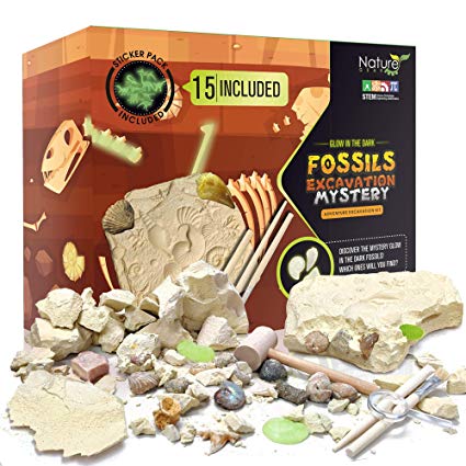 Nature Gear 15 Mystery Fossils   Bonus Glow-in-The-Dark - Excavation Adventure Kit - Science STEM Learning Kids Activity