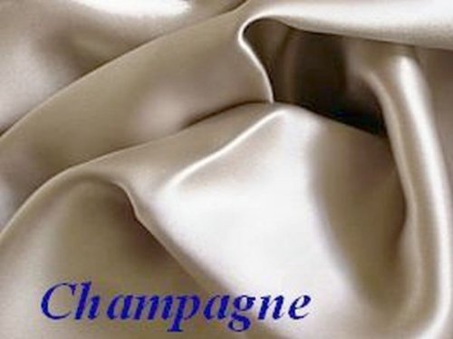 Set of 2 Champagne 100% Mulberry Silk Pillowcase Queen/standard for Hair and Facial Beauty