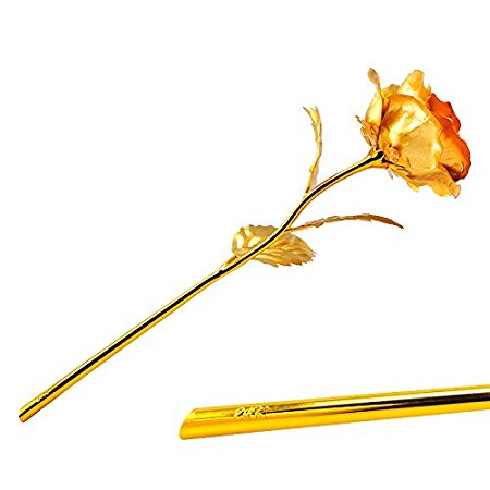 Enshey 24k Gold Foil Rose Flowers 10" Long Stem   Gift Box Golden 9.8-inches