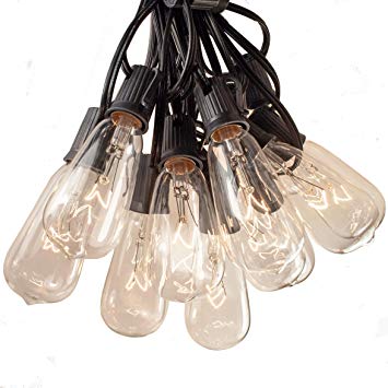 Hometown Evolution, Inc. 25 Foot Patio String Lights with ST40 Clear Bulbs and Black Wire