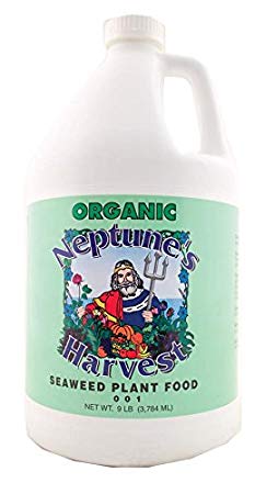 Neptune's Harvest (NEPSW191) Organic Seaweed Plant Food, 128-Ounce
