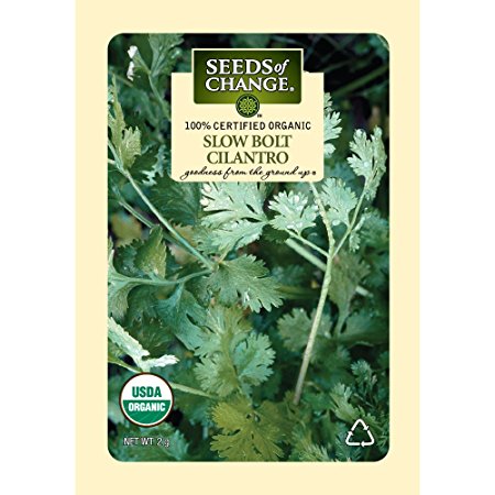 Seeds of Change Certified Organic Cilantro, Slow Bolt - 2 grams, 175 Seeds Pack