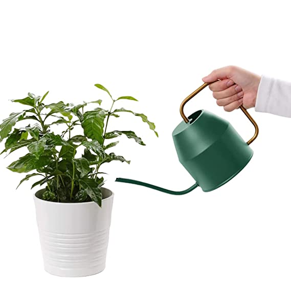 GreyFOX || GreyFOX || Metal 1 LTR Multipurpose Watering Can for Outdoor Garden & Indoor House Plants Long Spout Water Can for Succulent Bonsai Garden Flower (Green and Gold)