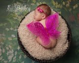 Glitter Fairy Butterfly Wings Newborn Baby Photography prop CHOOSE Colors