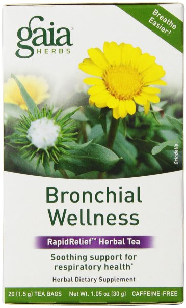 Gaia Herbs Bronchial Wellness Tea Bags 20 Count Pack of 2