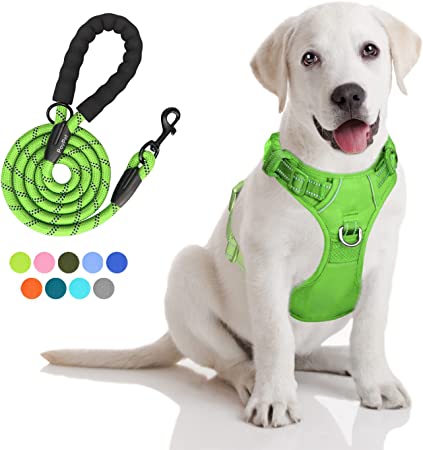 PoyPet No Pull Dog Harness and 5 Feet Leash Set, Release on Neck Reflective Adjustable Pet Vest, Front & Back 2 D-Ring and Soft Padded Pet Harness with Handle for Small to Large Dogs(Green,M)