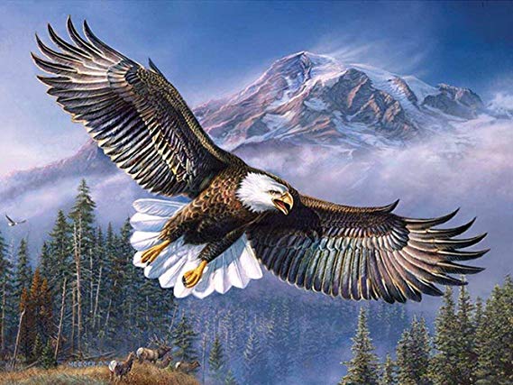 5D DIY Diamond Painting by Number Kits,Diamond Kit Home Wall Decor-The Eagle soars 16 X 13 inch.