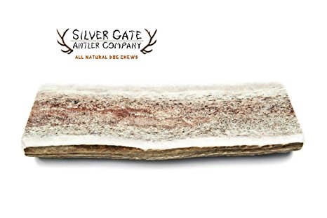 Silver Gate Antlers Elk Antler Split Dog Chews - LARGE 5-6", All Natural Premium Antler Dog Chew - Made in USA! Holistic & Hypoallergenic Chew Treat Toy for Large Dogs