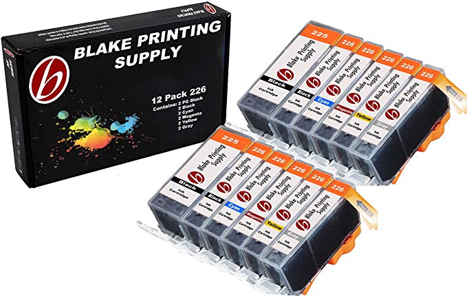 12 Pack with Gray Blake Printing Supply CLI-226 226 PGI-225 225 Ink Cartridges for Canon PIXMA MG6120 PIXMA MG6220 PIXMA MG8120 PIXMA MG8120B PIXMA MG8220