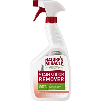 Nature's Miracle Just for Cat Stain and Odor Remover