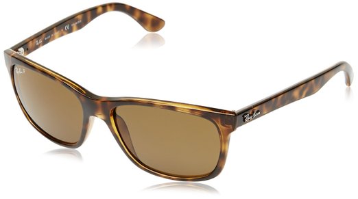 Ray-Ban Men's RB4181 Polarized Square Sunglasses
