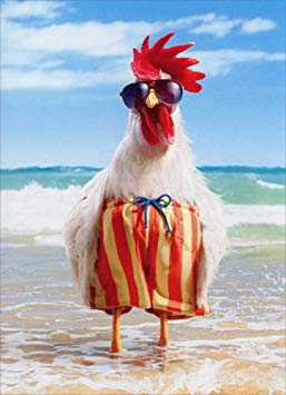 Rooster Wears Swimsuit Funny Birthday Card