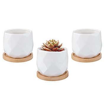 Mkono 3Pcs Ceramic Succulents Planters Set Geometric Cactus Plant Pot with Bamboo Saucer for Indoor Plants