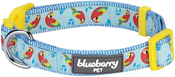 Blueberry Pet 8 Patterns Zoo Fun Dog Collars, Harnesses or Leashes