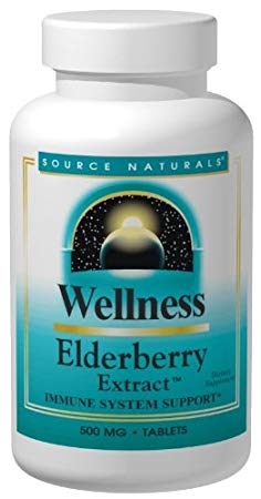 Source Naturals Wellness Elderberry Extract - Immune System Support - 120 Tablets